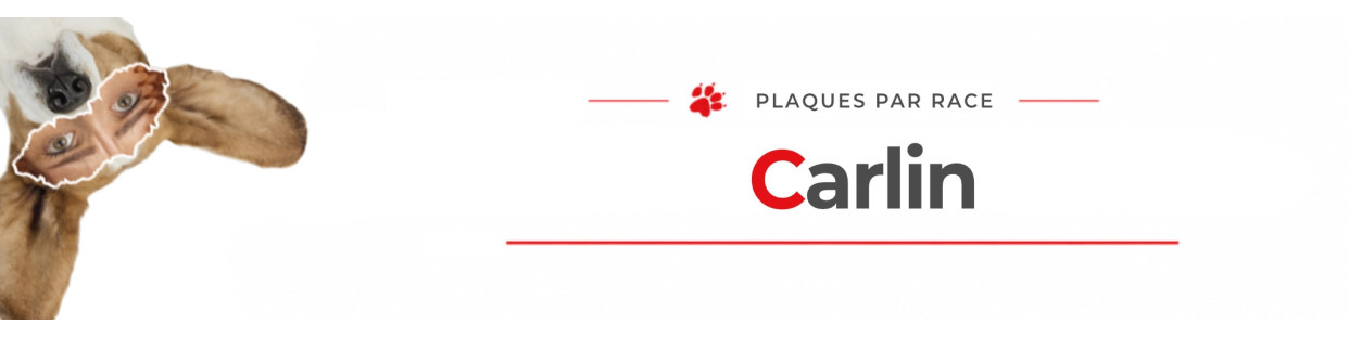 Carlin – Plaques, stickers et porte-clés