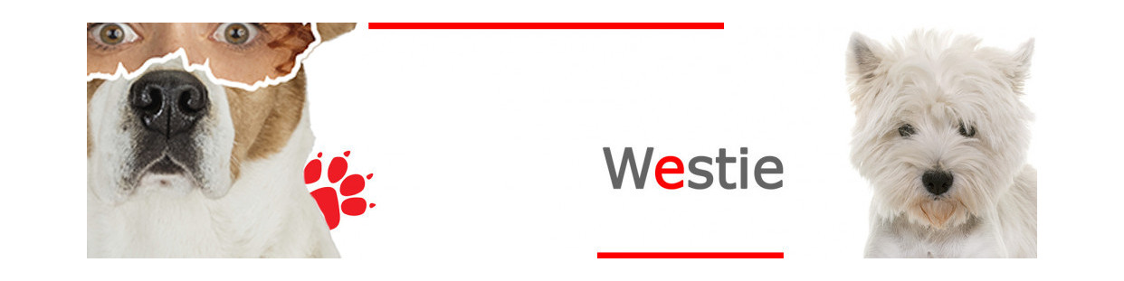 Westie – Plaques, stickers et porte-clés