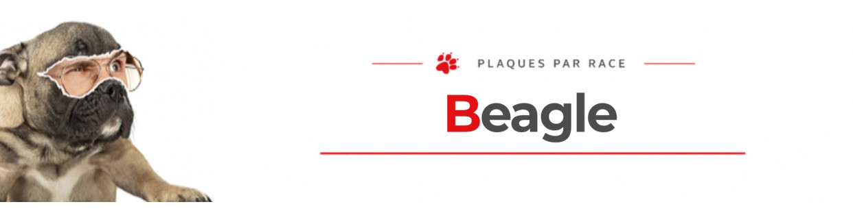 Beagle – Plaques, Stickers et Signalétique Chien de Garde