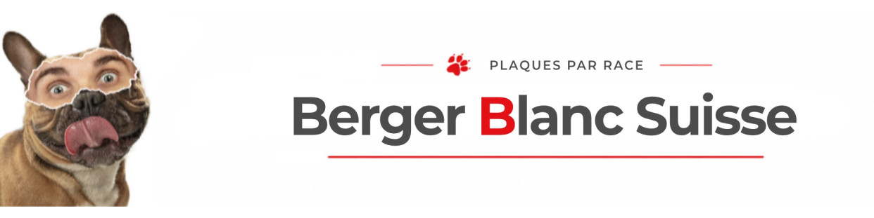 Berger Blanc Suisse – Plaques, stickers et porte-clés