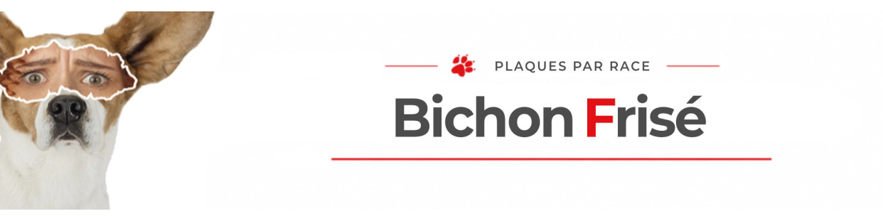 Bichon Frisé – Plaques, stickers et porte-clés