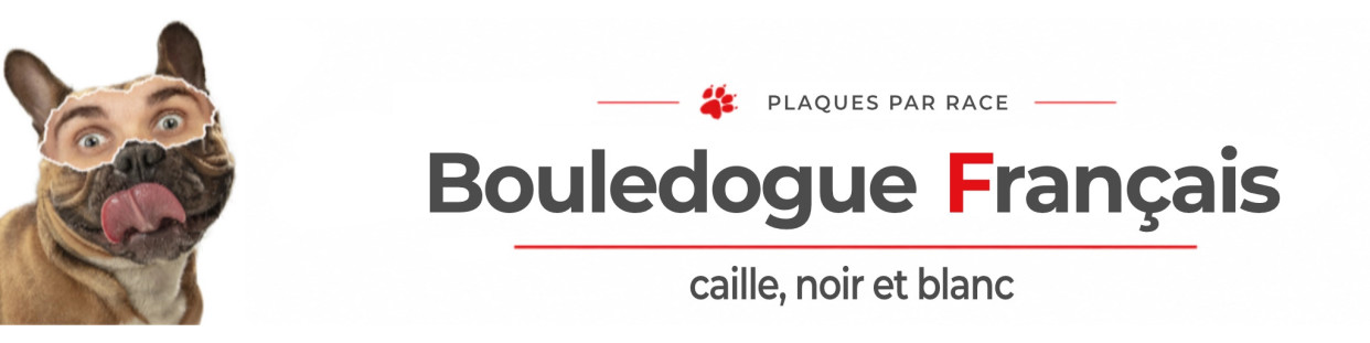 Bouledogue Français caille – Plaques, stickers et porte-clés