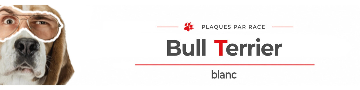 Bull Terrier blanc – Plaques, stickers et porte-clés