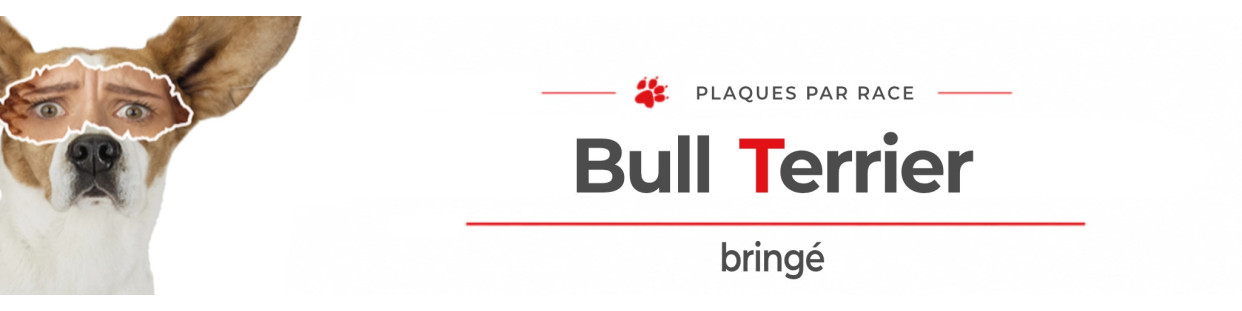 Bull Terrier bringé – Plaques, stickers et porte-clés