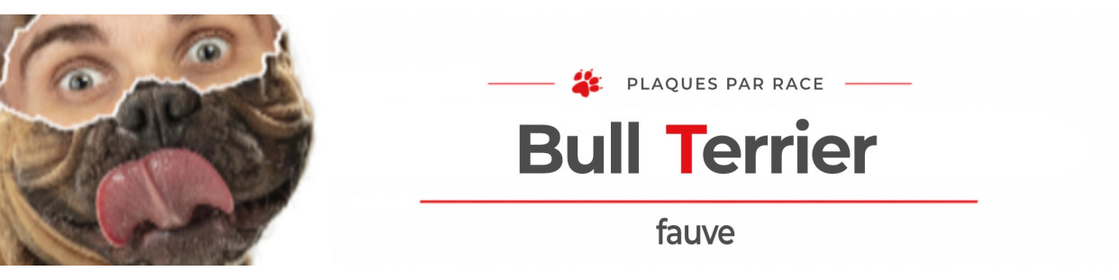 Bull Terrier fauve – Plaques, stickers et porte-clés