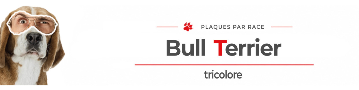 Bull Terrier tricolore – Plaques, stickers et porte-clés