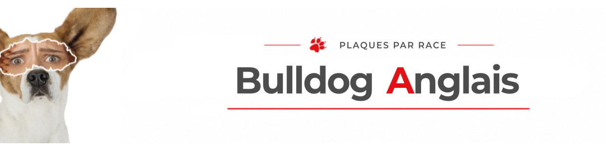Bulldog Anglais – Plaques, stickers et porte-clés