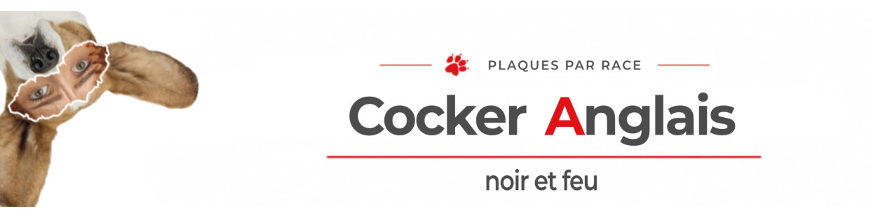 Cocker Anglais noir et feu – Plaques, stickers et porte-clés