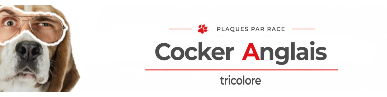 Cocker Anglais tricolore – Plaques, stickers et porte-clés
