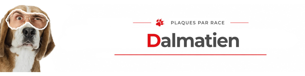 Dalmatien – Plaques, stickers et porte-clés