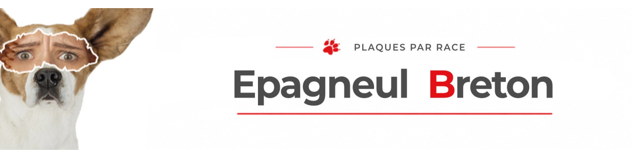 Épagneul Breton – Plaques, stickers et porte-clés