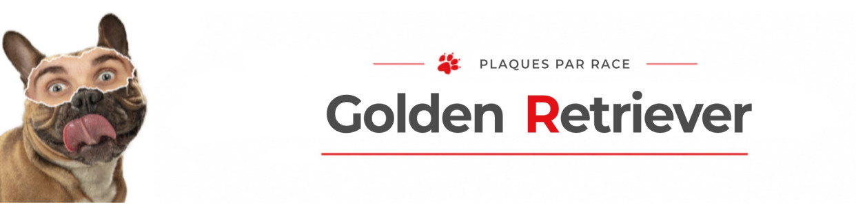 Golden Retriever – Plaques, stickers et porte-clés