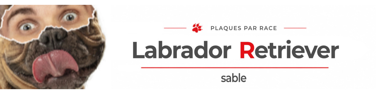 Labrador sable – Plaques, stickers et porte-clés