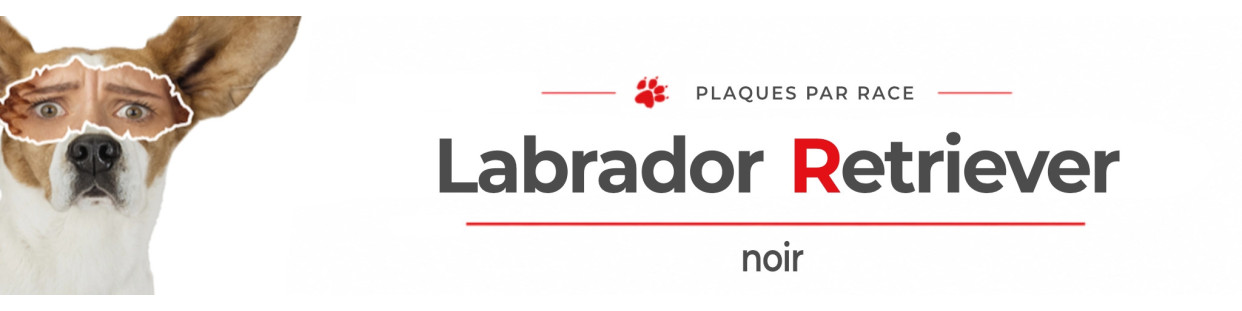 Labrador noir – Plaques, stickers et porte-clés