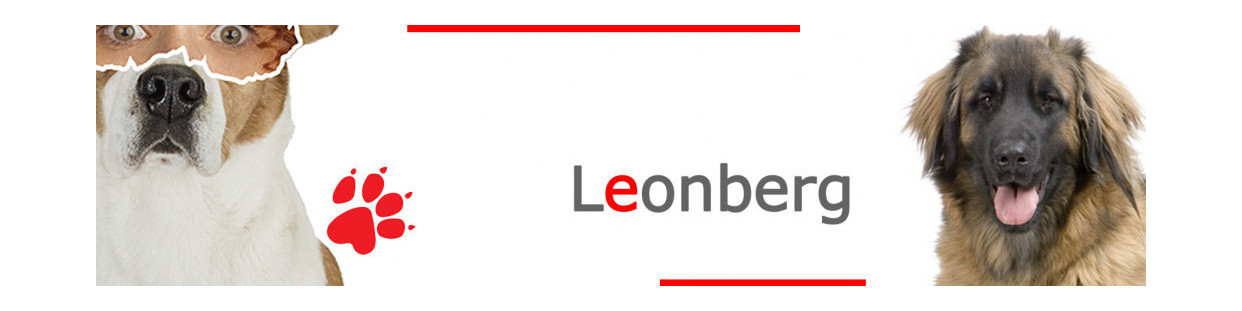 Leonberg – Plaques, stickers et porte-clés