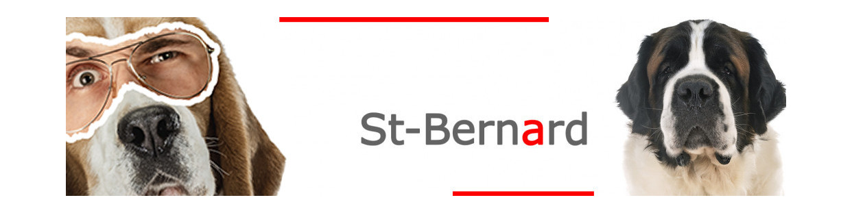 Saint-Bernard – Plaques, stickers et porte-clés
