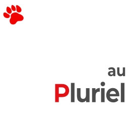 au pluriel