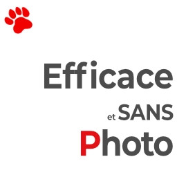 Sans PHOTO