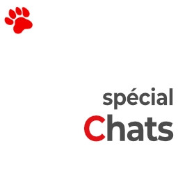 Chats