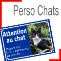 Personnalisables chat