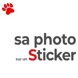 Stickers personnalisables chien et chat