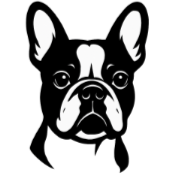 Bs5 Bouledogue Français.png