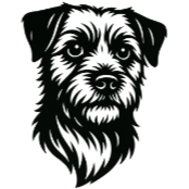 Bs7 Border Terrier.png