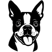 Bs8 Boston Terrier.png