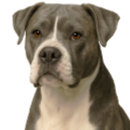 Bq3 Boulam bleu gris.png