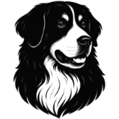 Bs4 Bouvier Bernois.png
