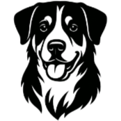 Bt1 Bouvier suisse Appenzell.png