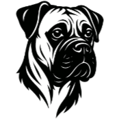 Bt2 Boxer.png