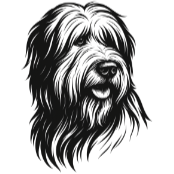 Bu0 Briard Berger de Brie.png