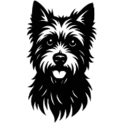 Cd4 Cairn Terrier.png