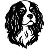 Ce1 Cavalier King Charles.png