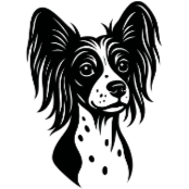 Cd7 Chien Nu Chinois à Crête.png