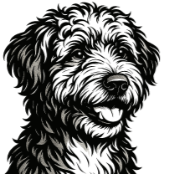 Ce7 Chien dEau Espagnol.png