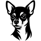 Cd8 Chihuahua poils courts.png