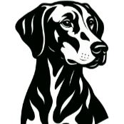 D55 Dobermann noir et blanc.png