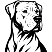 D59 Dogo Dogue Argentin.png
