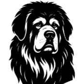 D58 Dogue du Tibet.png