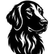 F12 Flat-Coated Retriever.png