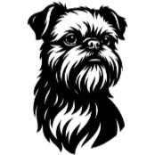 G15 Griffon Bruxellois.png
