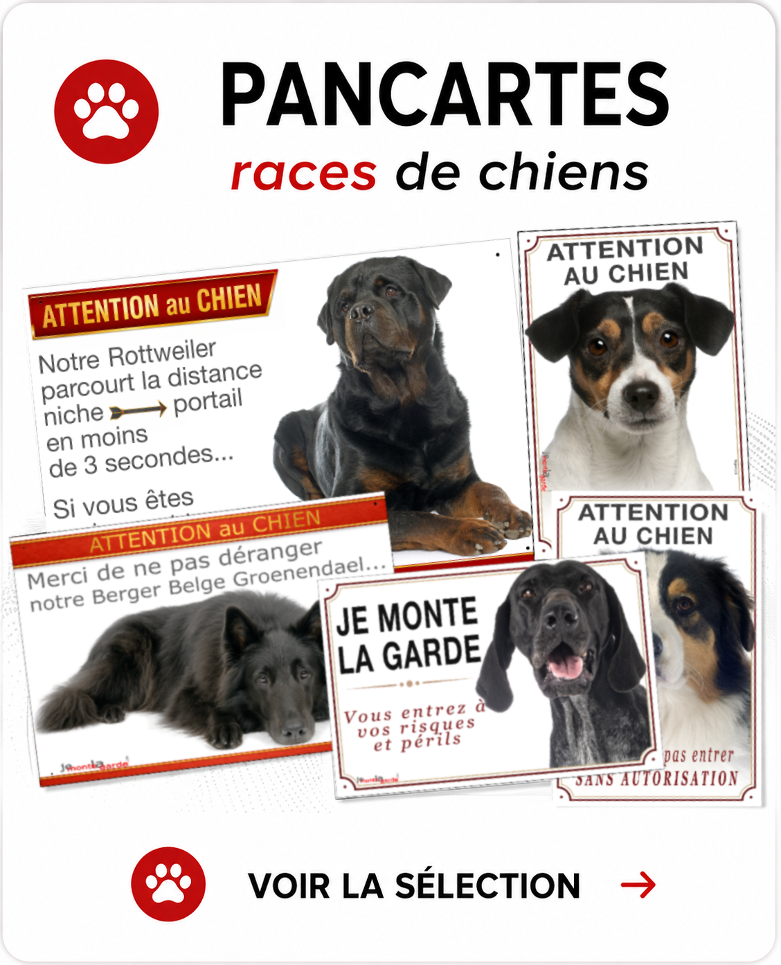 Catalogue des races de chiens
