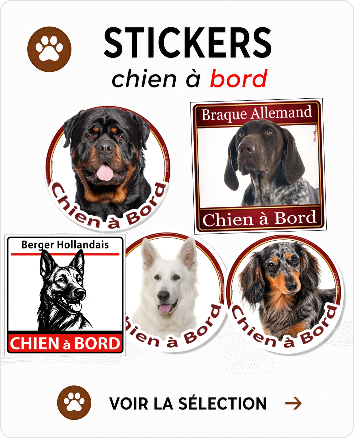 Stickers chiens à bord classés par race
