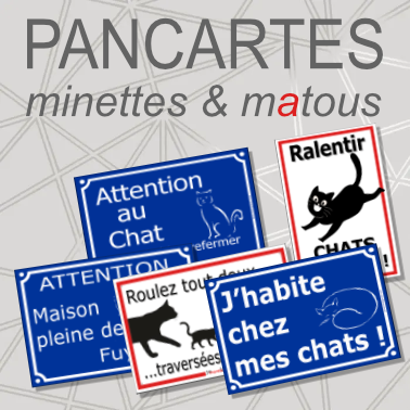 plaque_de_chats%20-%20copie.jpg