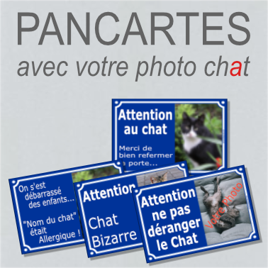 perso cat.png