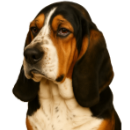 BN5 Hound.png