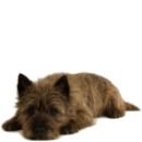 CA8 Cairn.png