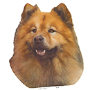 E07 Eurasier.png